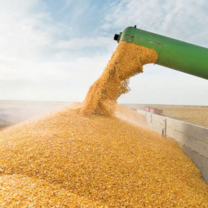 project-slider-image